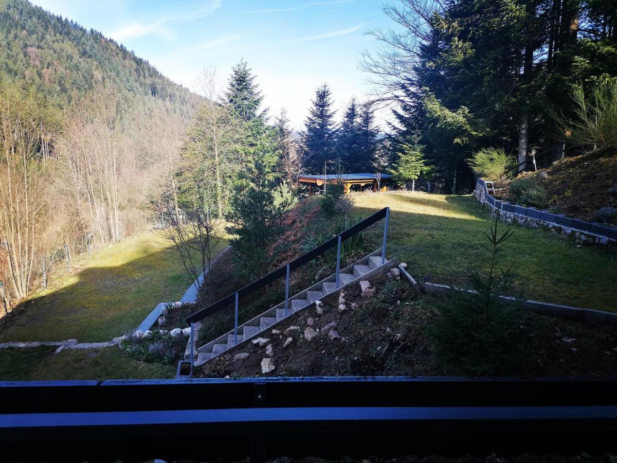 Haus Schwarzwaldblick Hornberg Exterior foto